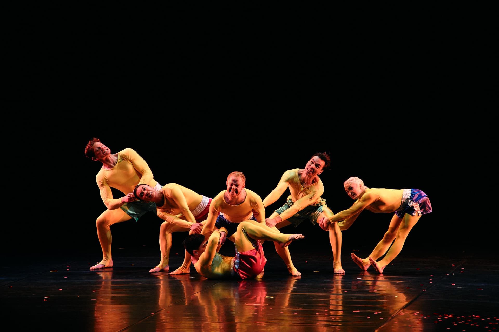 Pilobolus